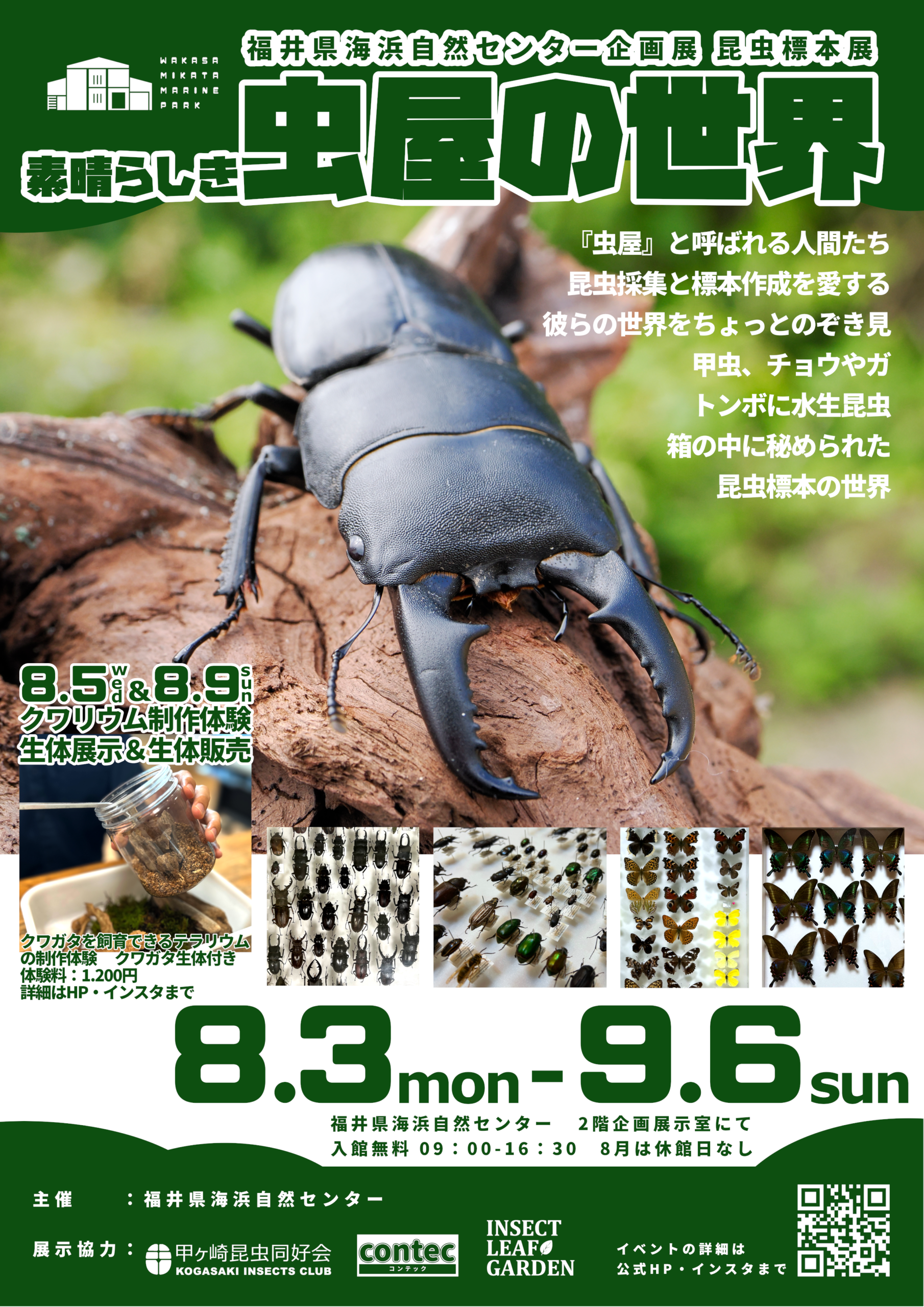 昆虫標本展「素晴らしき虫屋の世界」開催！ — 福井県海浜自然センター